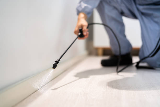 Licensed Cockroach Control service in Marine, IL - Nex Pest Control