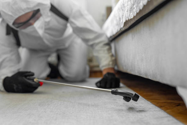 Professional Cockroach Control technician working in Marine, IL