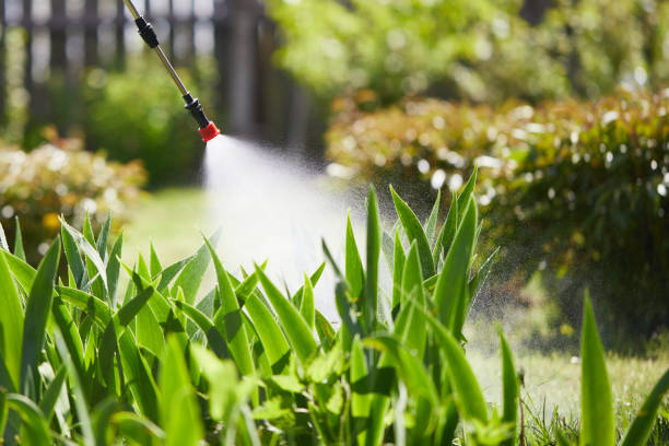 24/7 Emergency Cockroach Control experts in Marine, IL