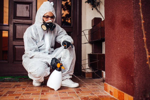 Reliable Cockroach Control contractor in Marine, IL by Nex Pest Control